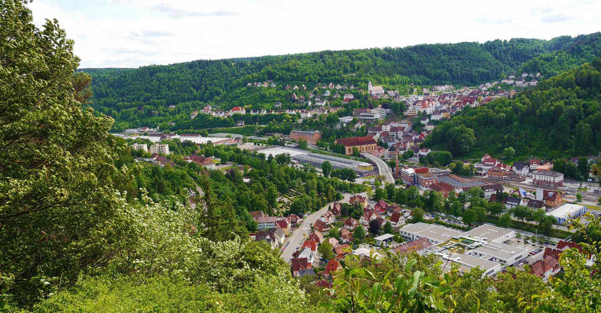 Blick auf Oberndorf